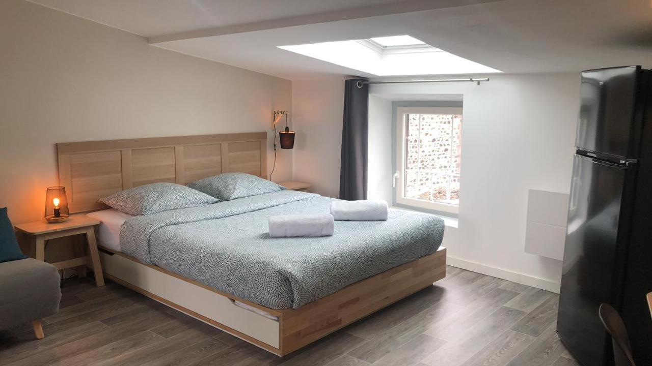 Jolis Appartements Au Coeur De Clermont Ferrand - Proche Jaude - Wifi Et Netflix Buitenkant foto