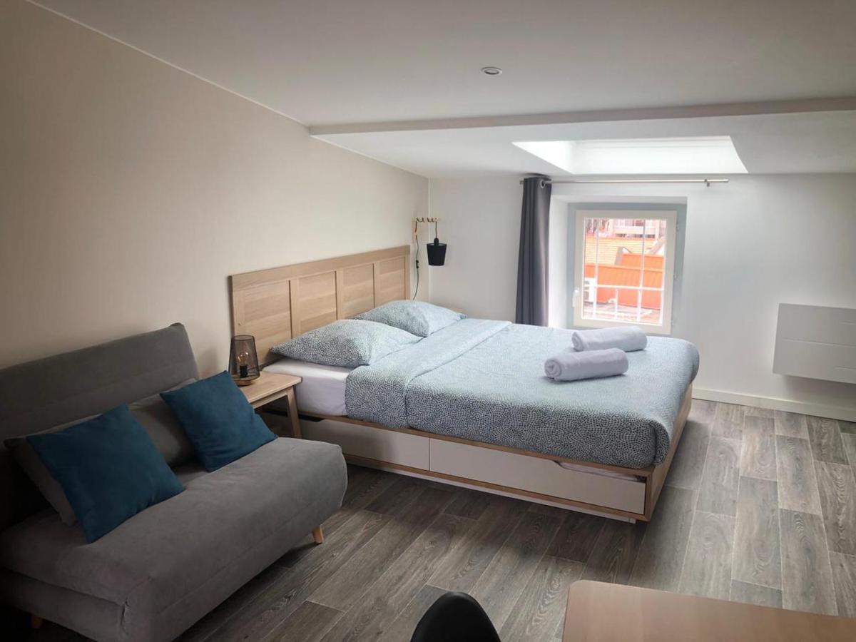 Jolis Appartements Au Coeur De Clermont Ferrand - Proche Jaude - Wifi Et Netflix Buitenkant foto
