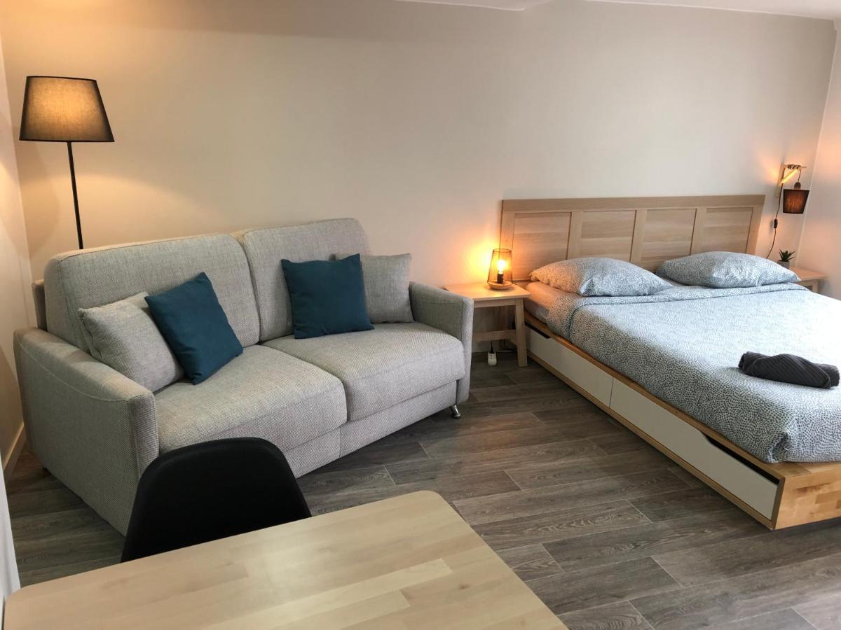 Jolis Appartements Au Coeur De Clermont Ferrand - Proche Jaude - Wifi Et Netflix Buitenkant foto